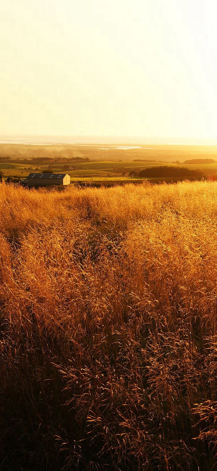 Gladiator Farm Nature iPhone X Wallpaper