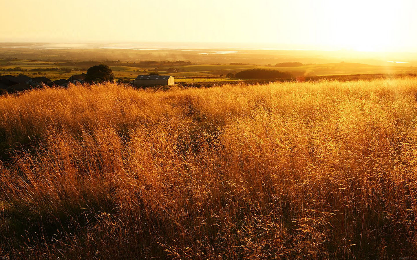 The Gladiator Farm Nature