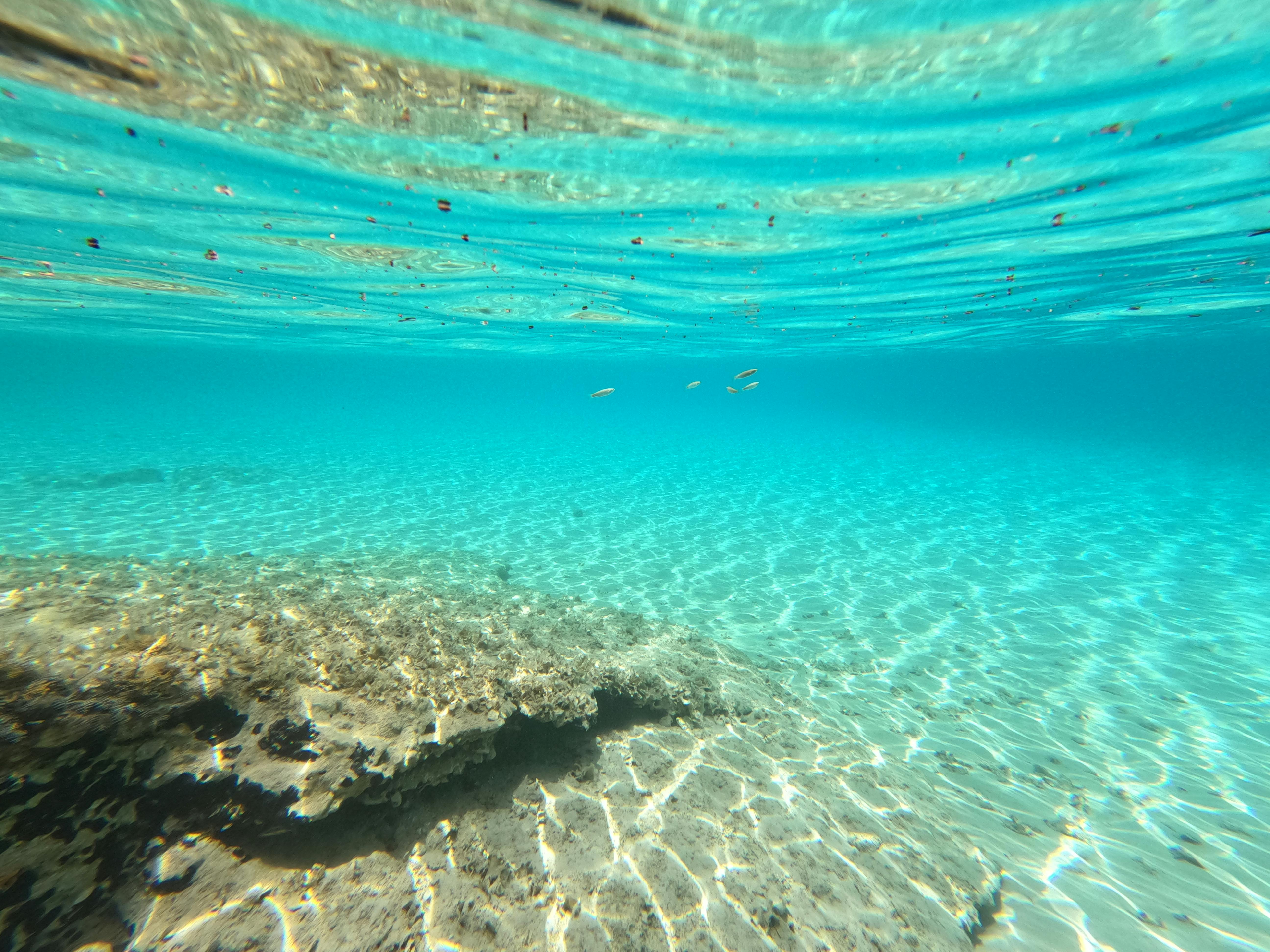 Ocean Floor & HD Image