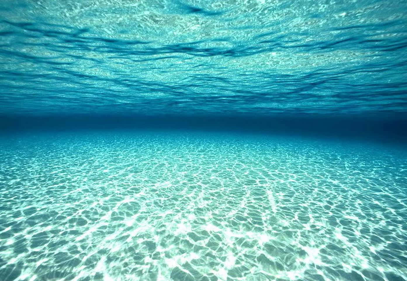 beautiful depths of the ocean