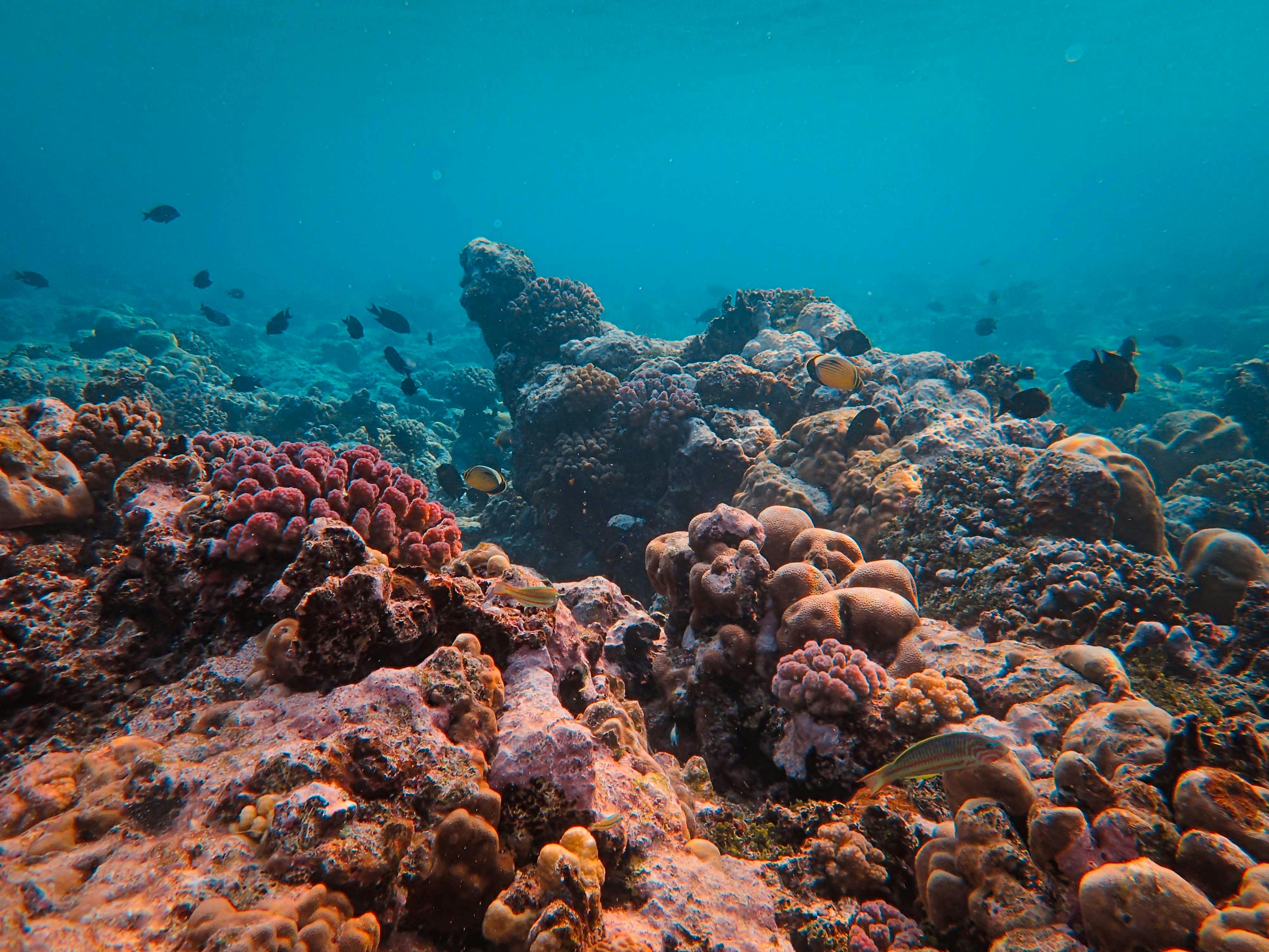 Ocean Floor & HD Image