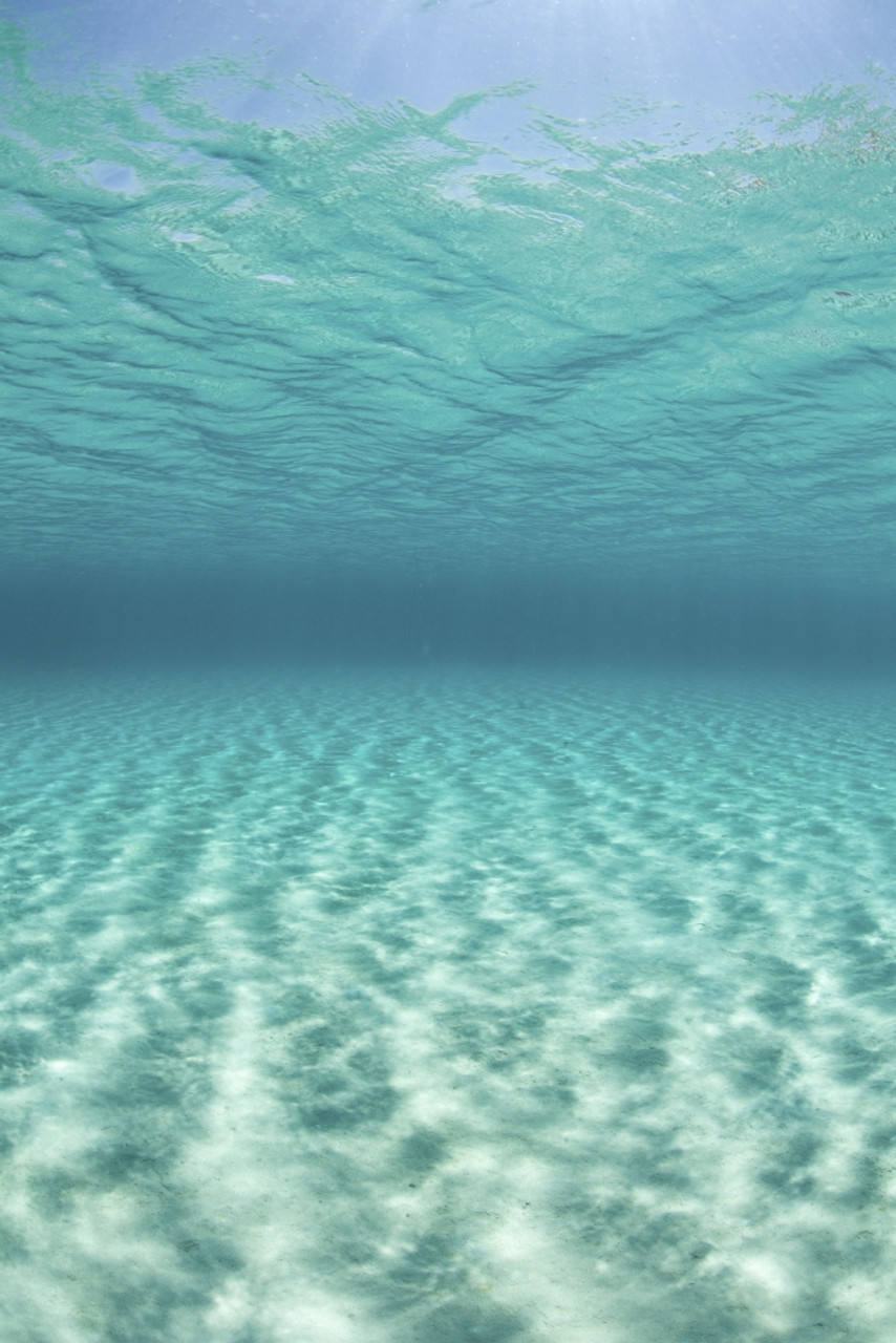 tropical Pacific Ocean Poster Print