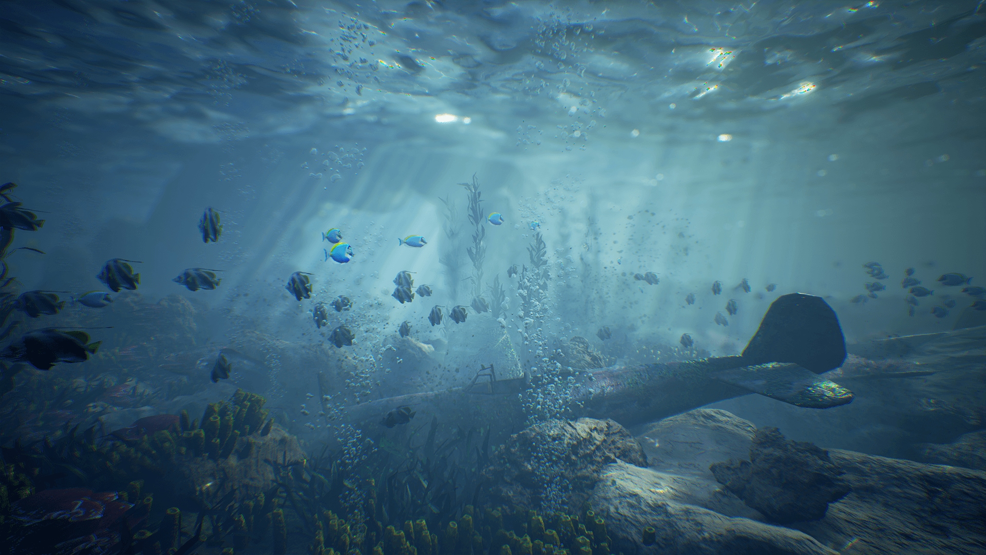Ocean Floor Environment in Environments