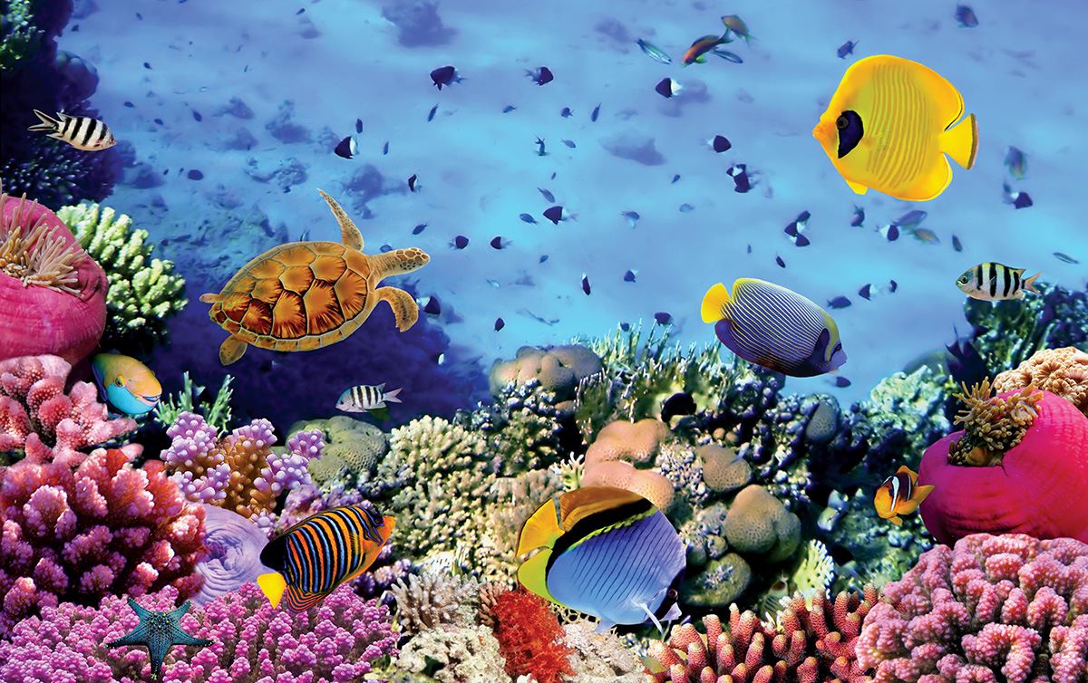 Wallpaper mural sea bottom with many