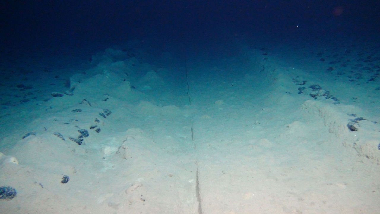 tracks' on the deep ocean floor