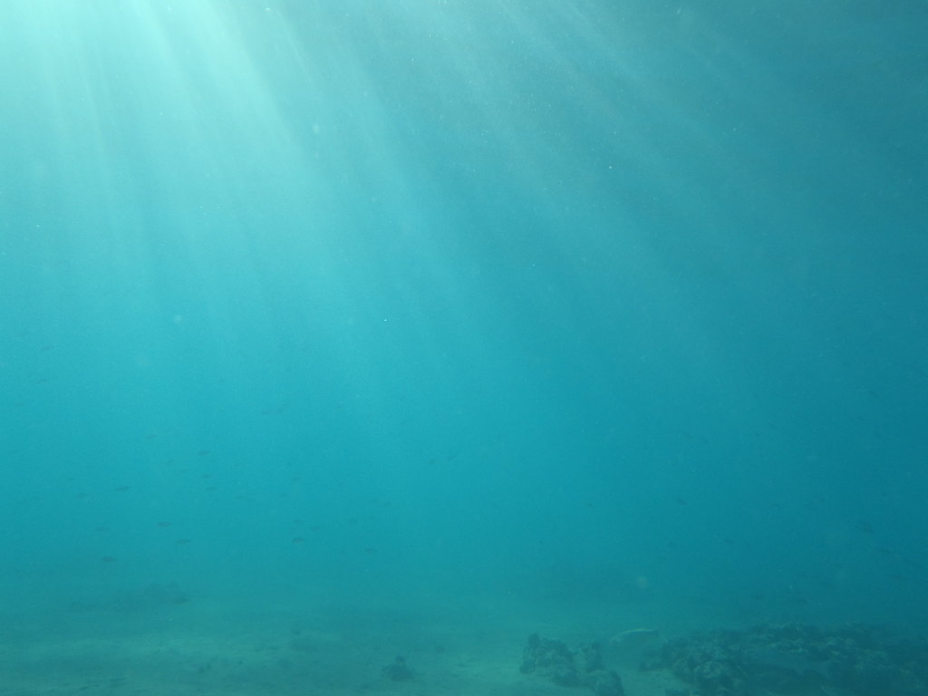 Underwater Photo sea view, inside sea