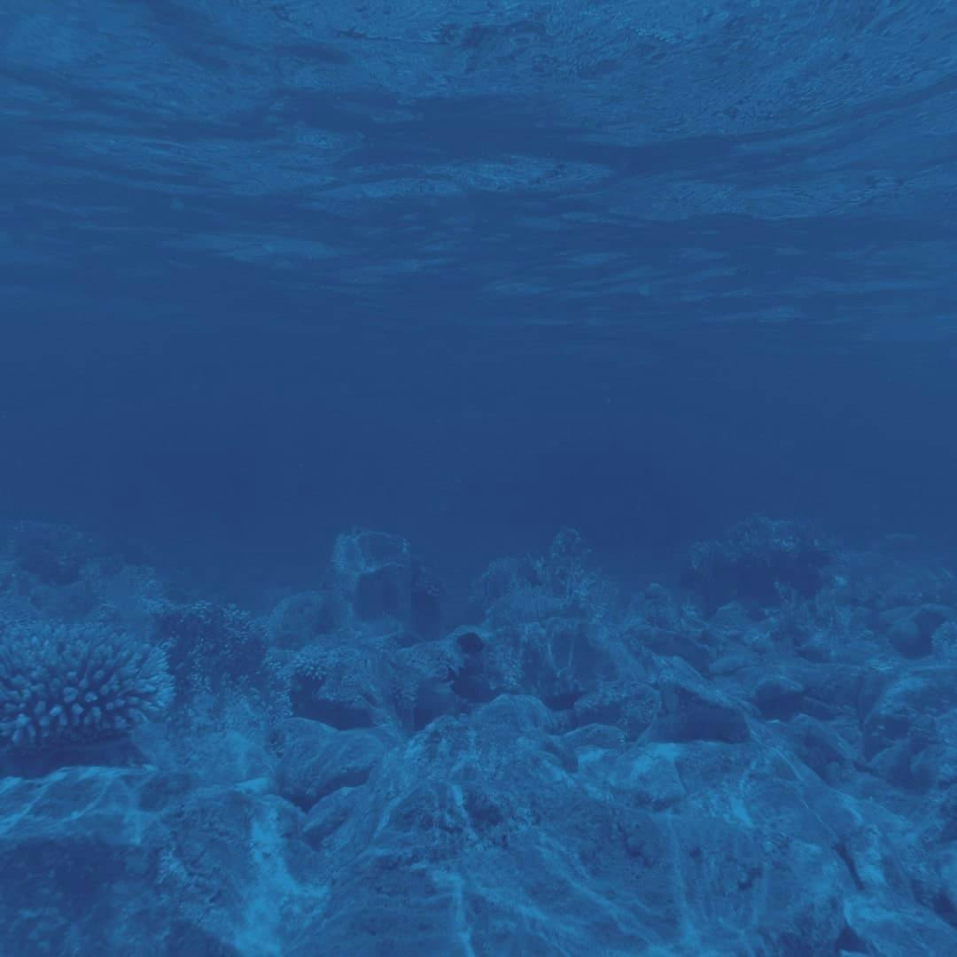 Expandable Seafloor Observatory