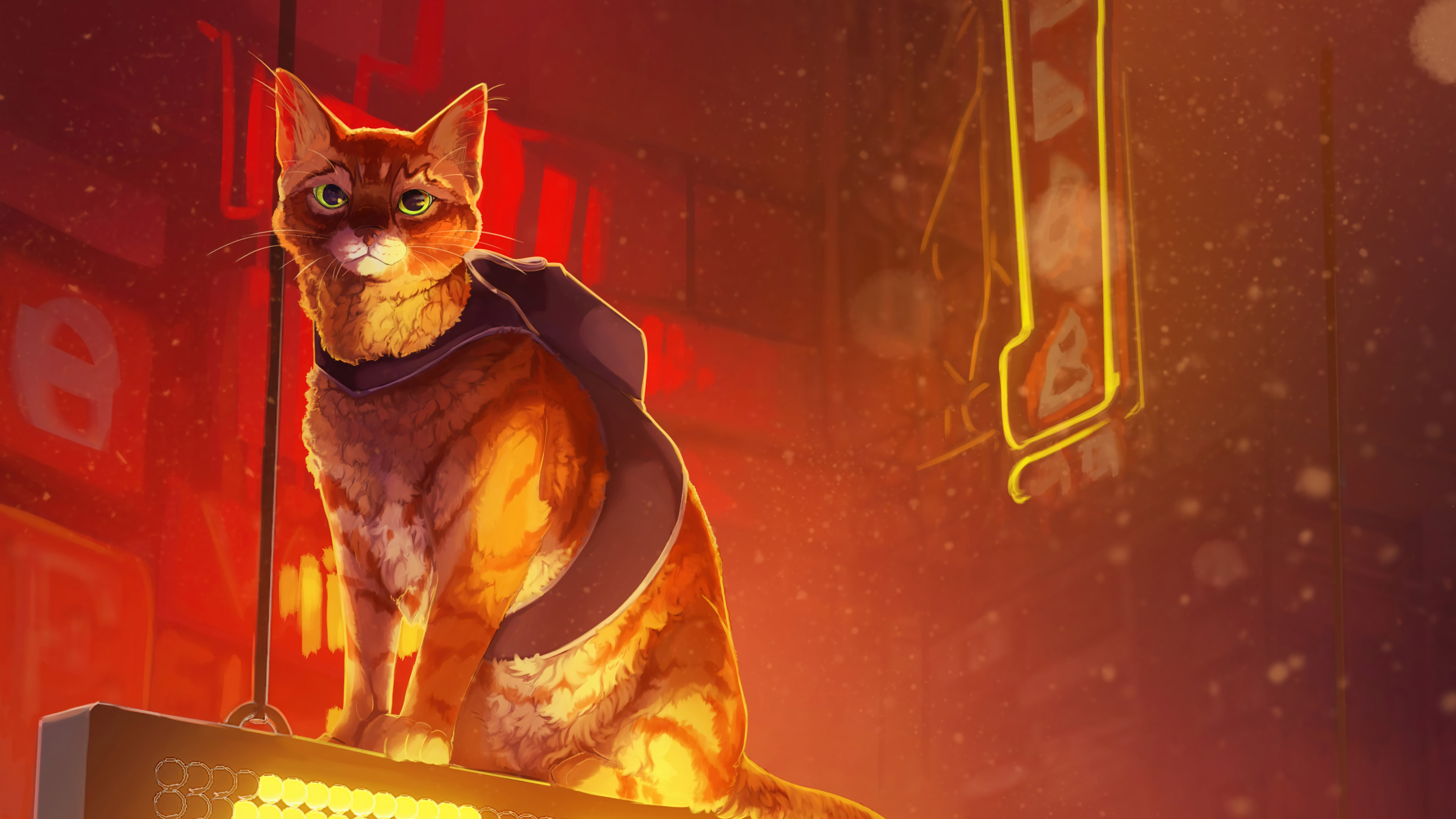 Stray Game 4K Art Wallpaper iPhone HD