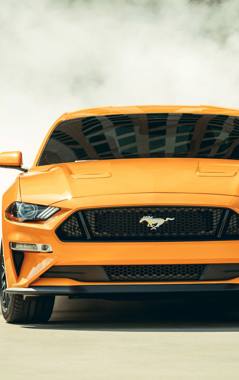 ford mustang fastback, sports car