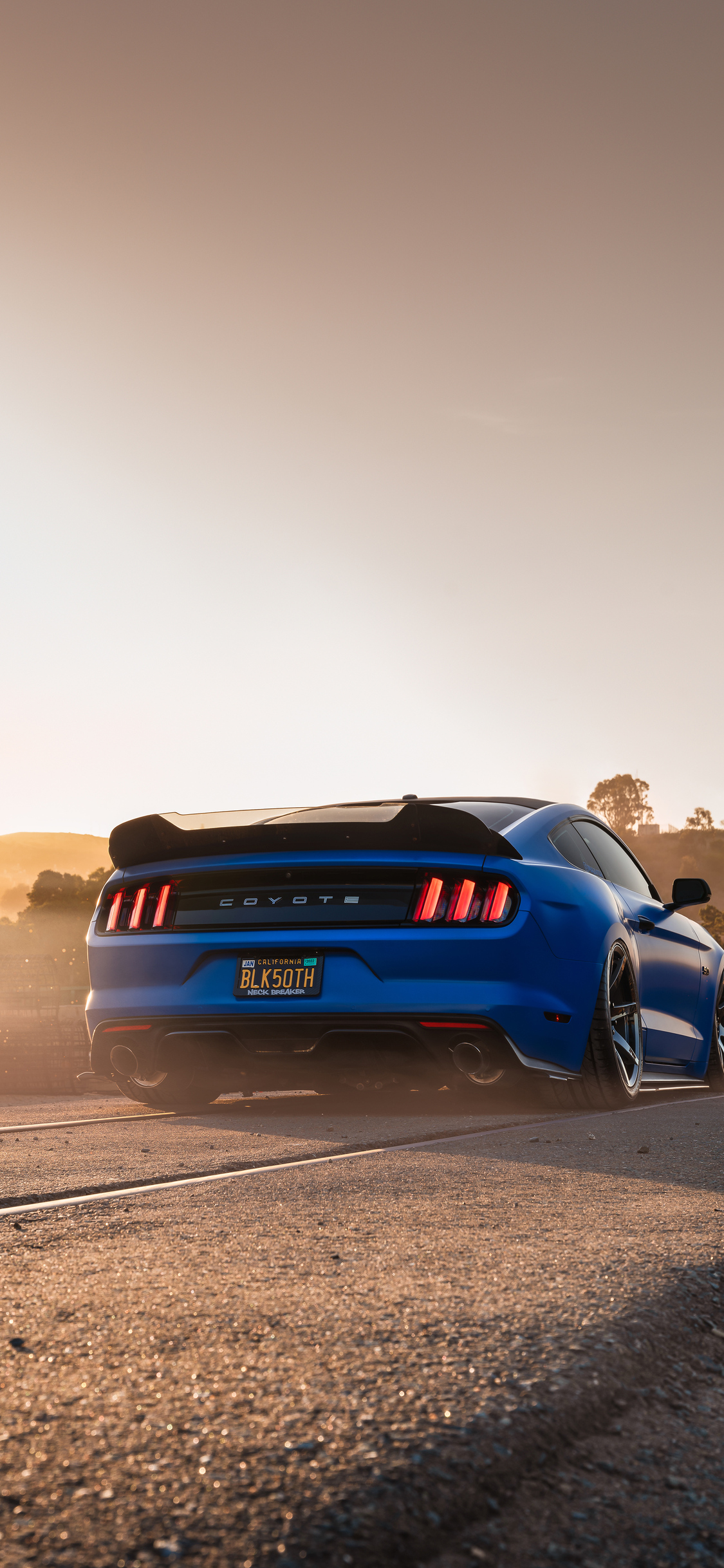 2022 Ford Mustang Gt Rear 4k