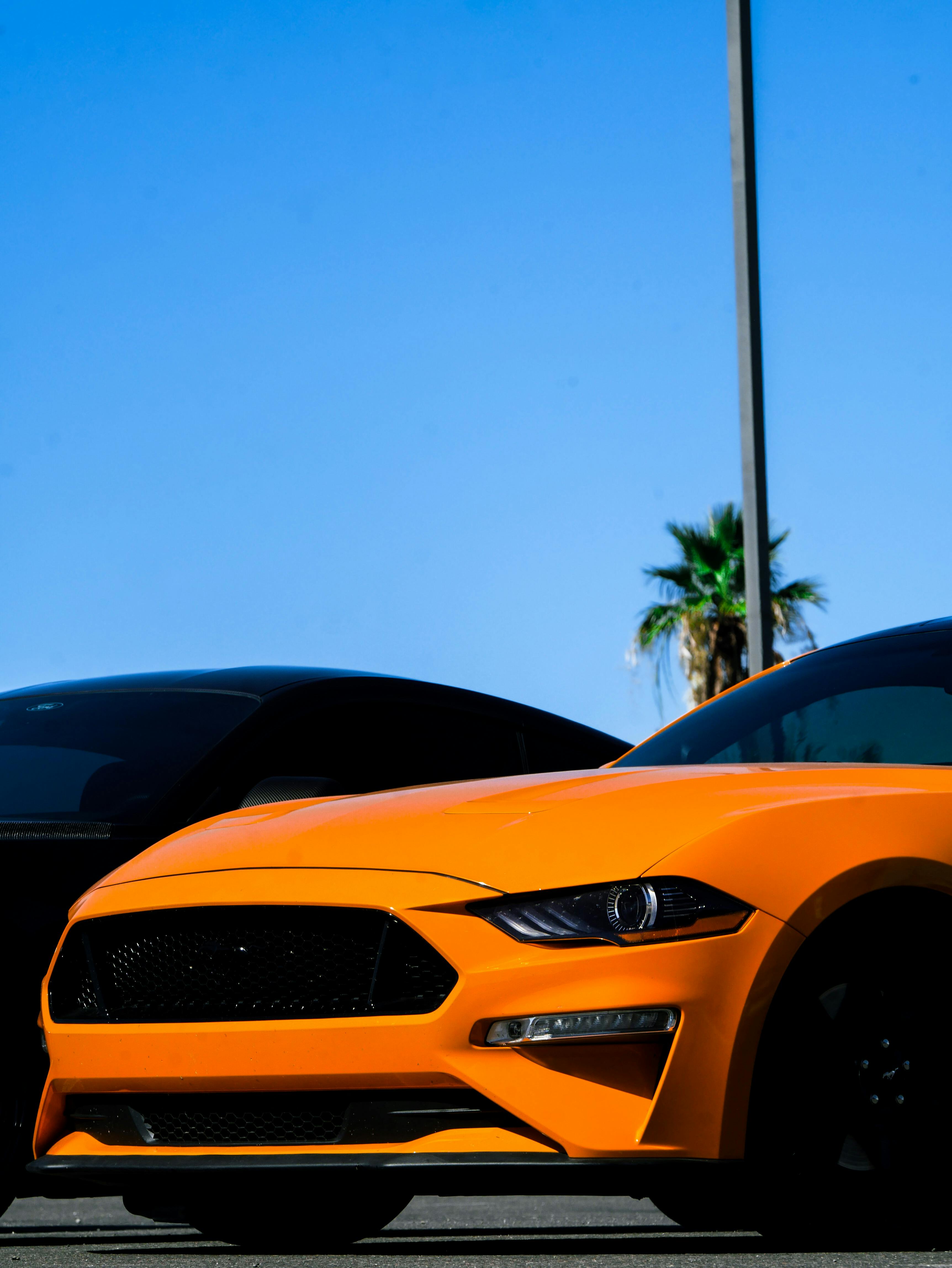 Orange Fort Mustang · Free