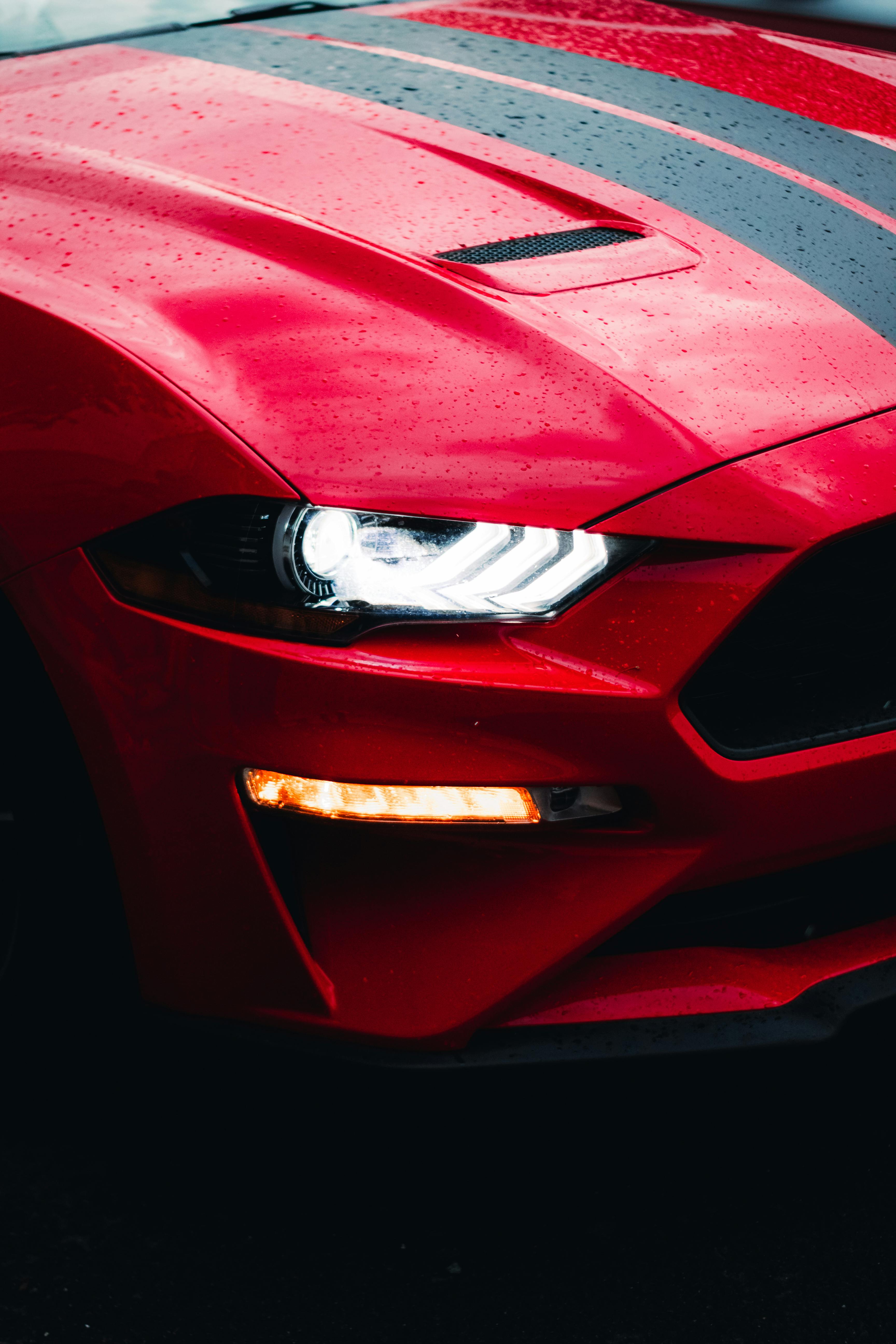 Red Mustang · Free