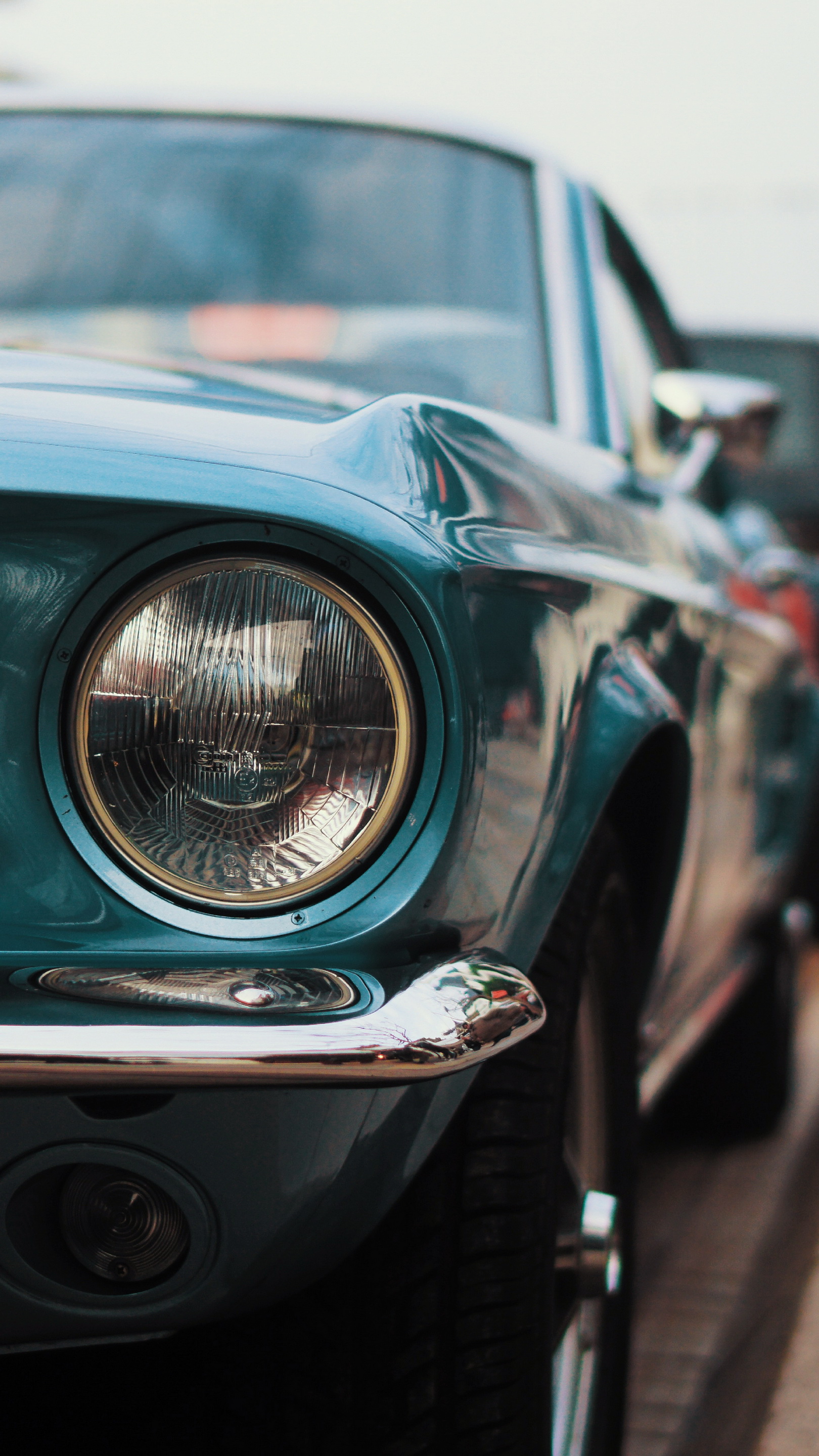 Wallpaper Mustang, Ford Mustang, Cars