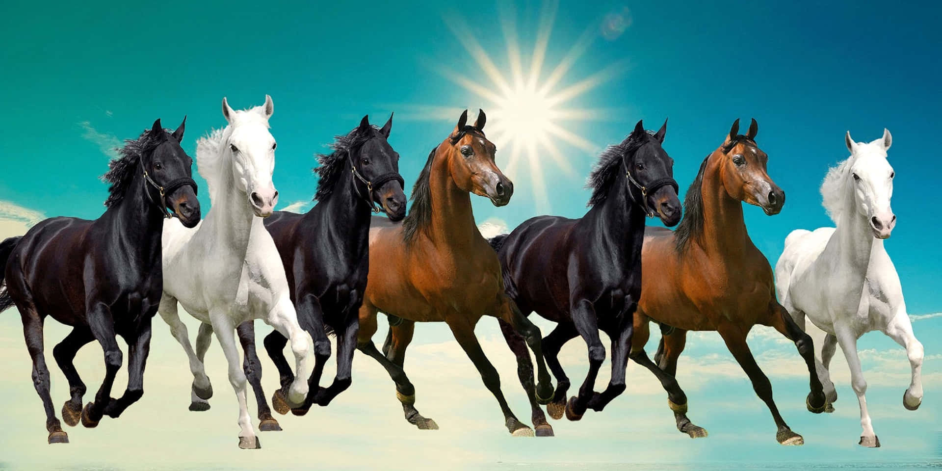 7 Horses Wallpaper