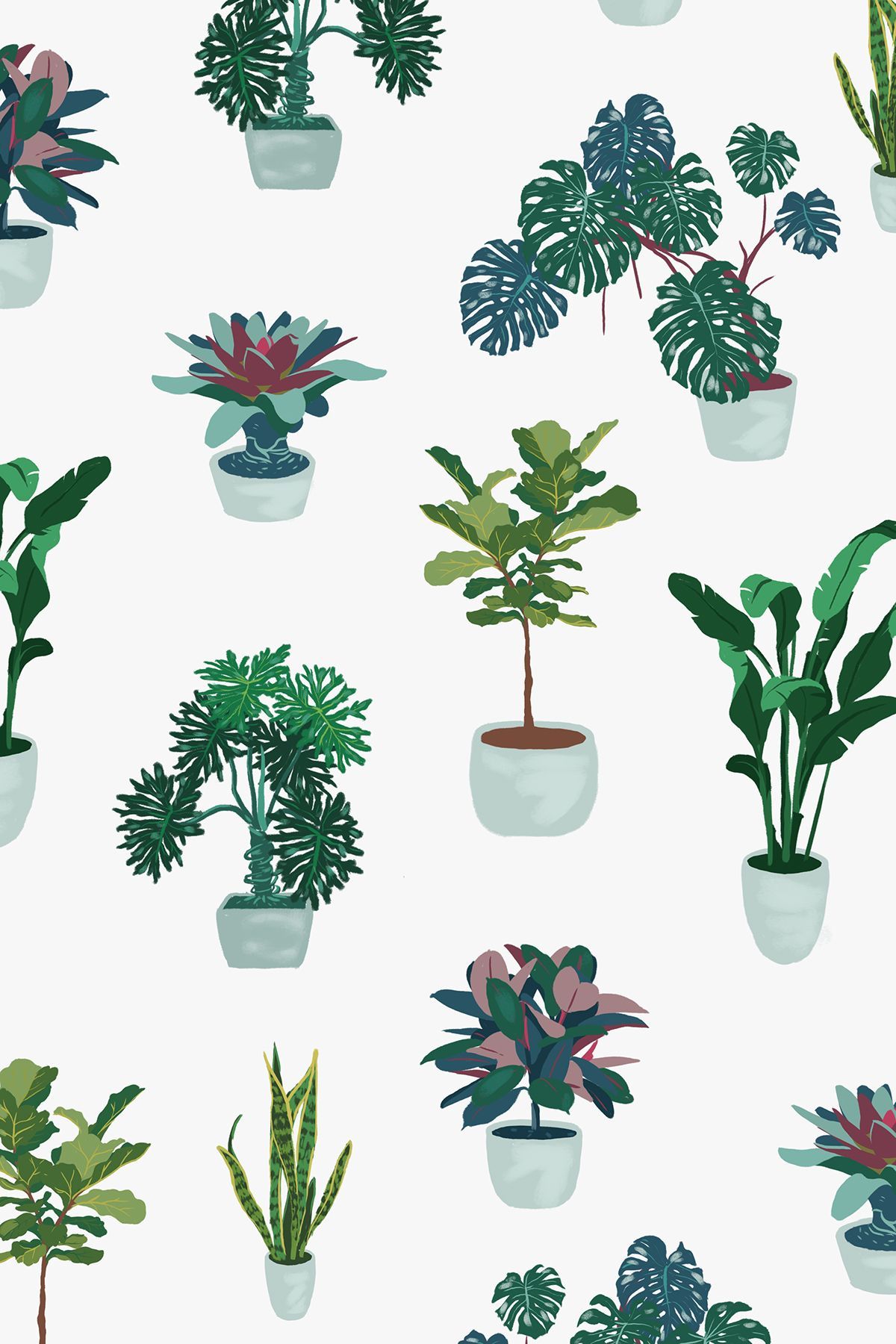 Houseplant Phone Wallpaper