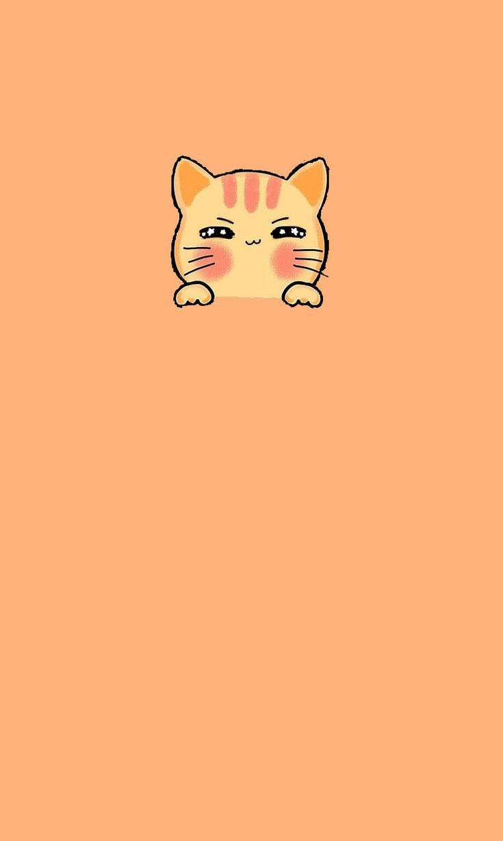 cat wallpaper for phone