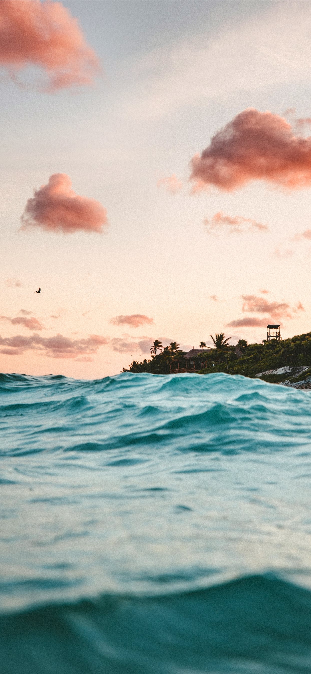 clear sky over body of water iPhone X