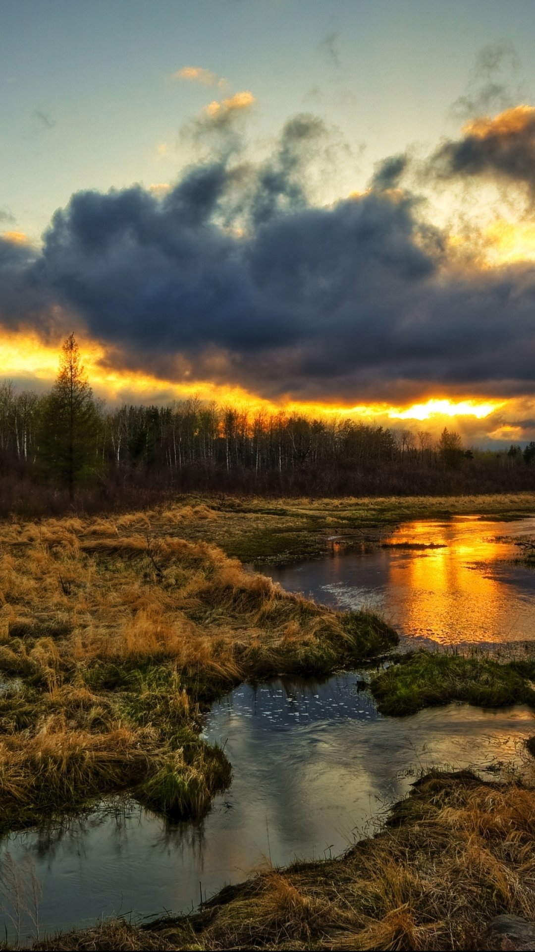 Download Sunset Cloud Tundra Swamp