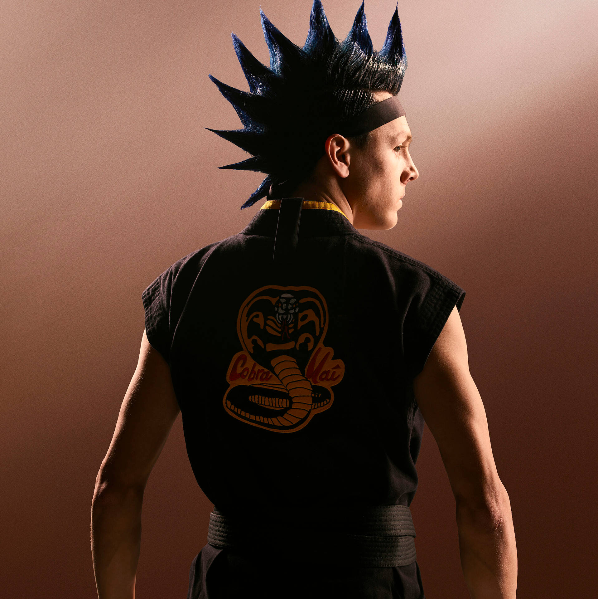 Hawks Von Cobra Kai Wallpaper