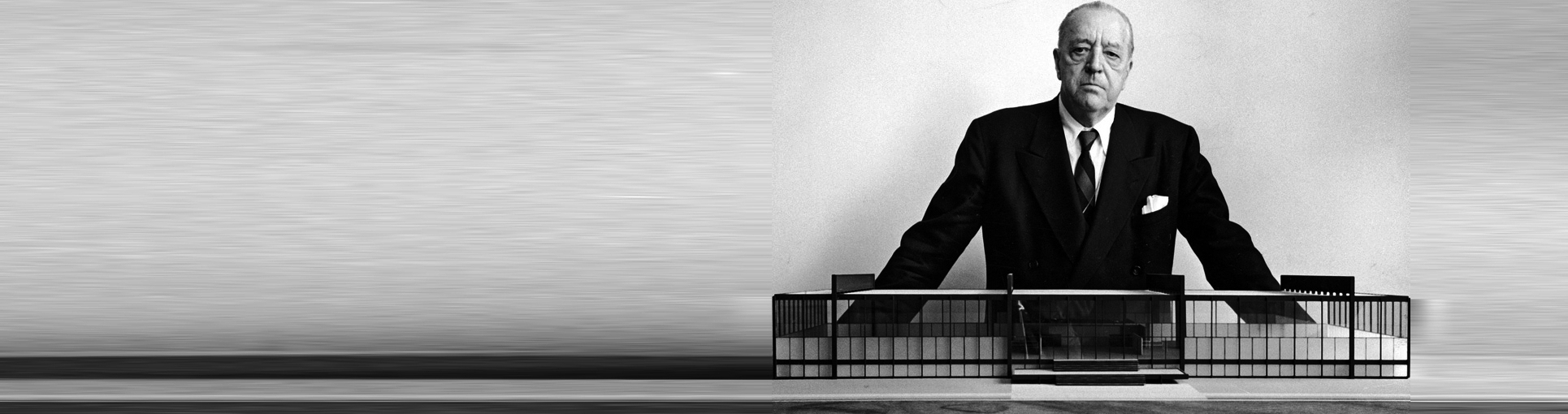 Ludwig Mies van der Rohe background