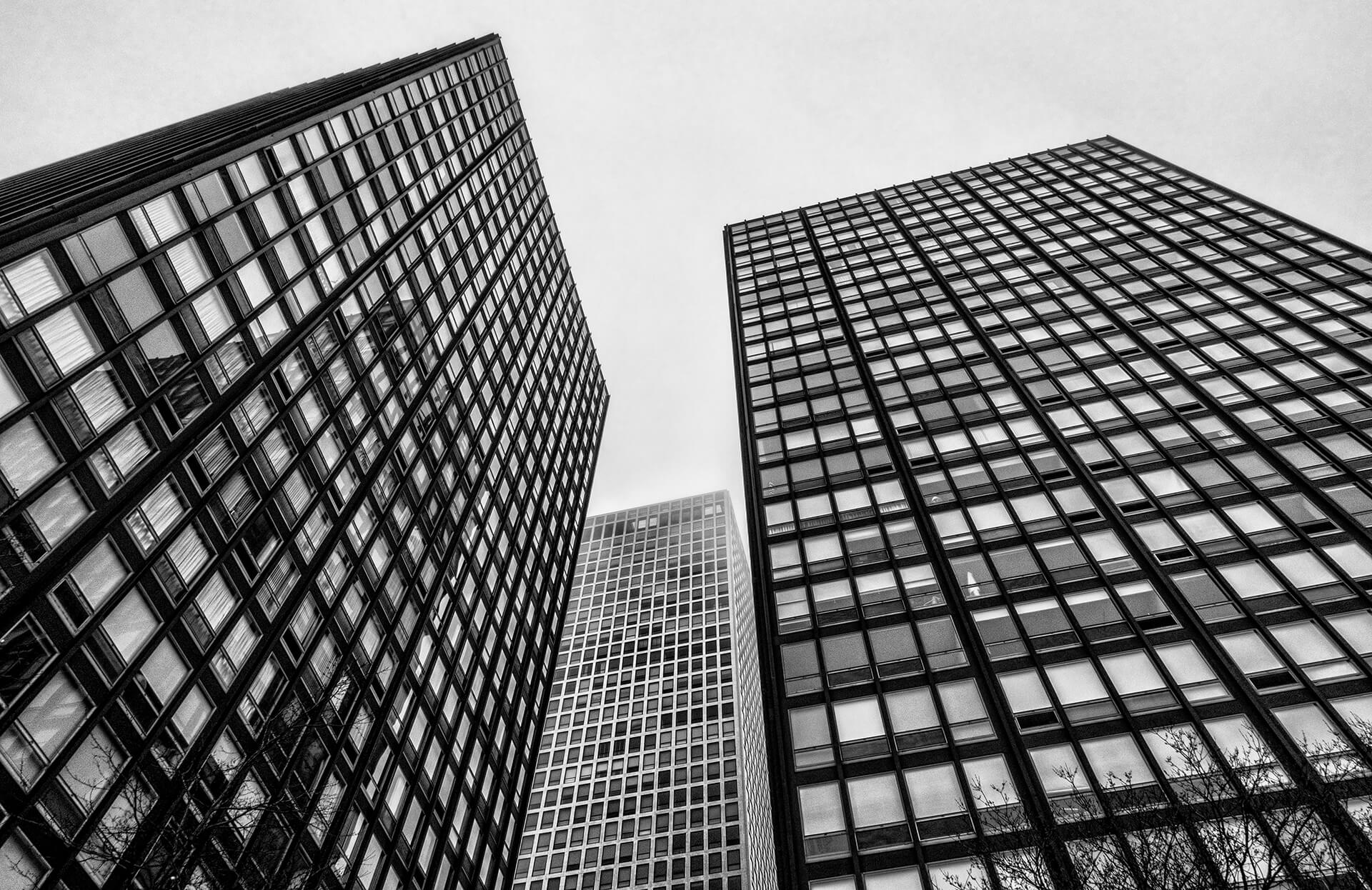 Ludwig Mies van der Rohe