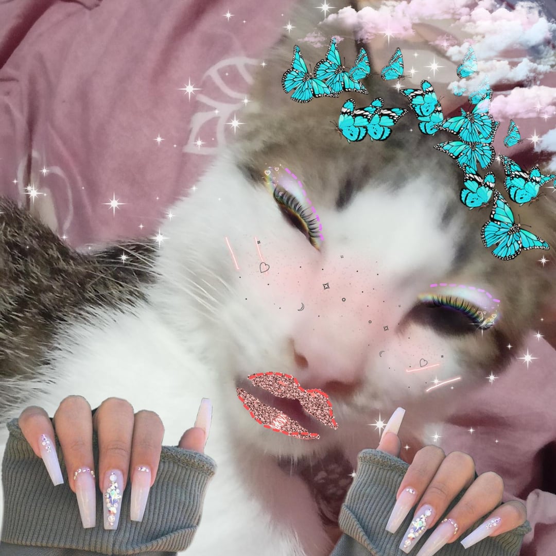 Baddie Cat