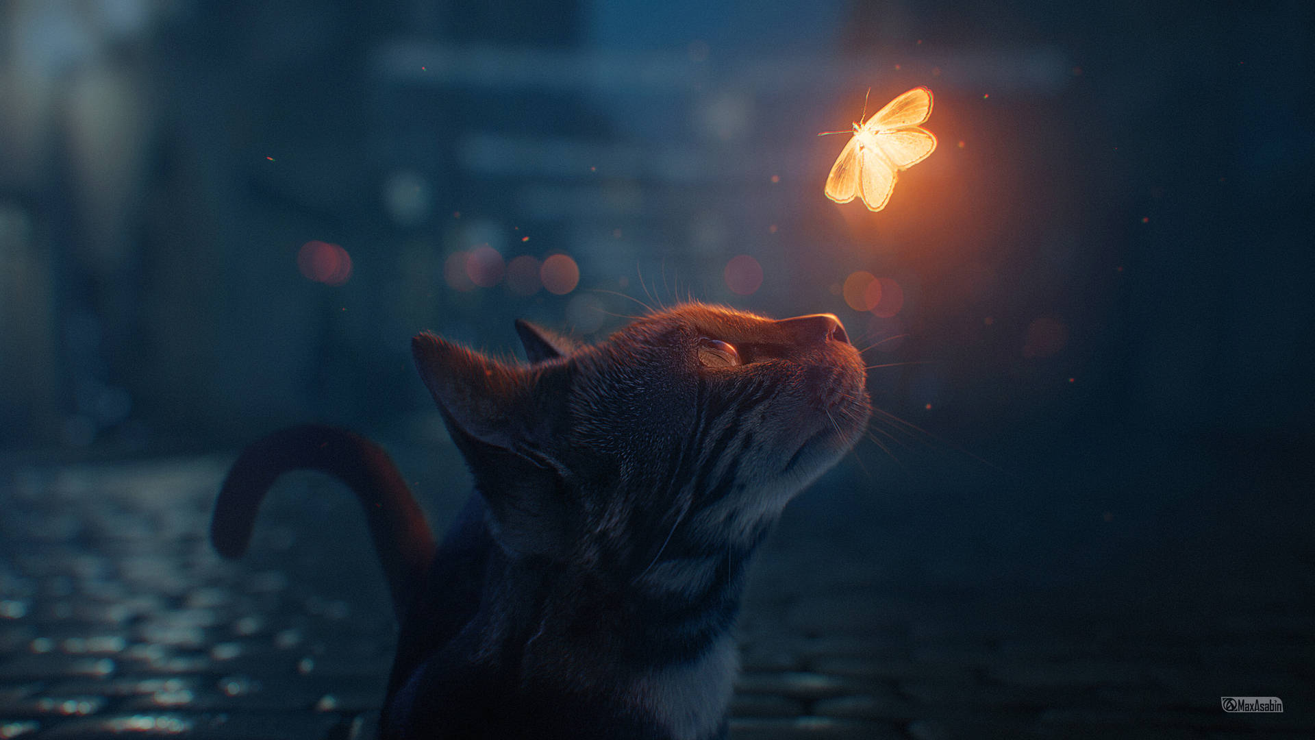 Aesthetic Cat HD Wallpaper