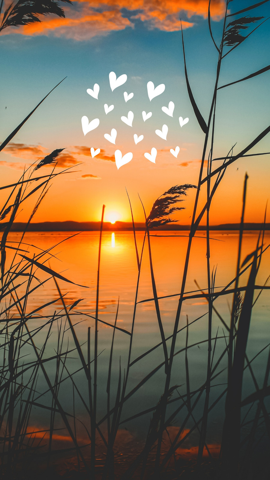 sun wallpaper