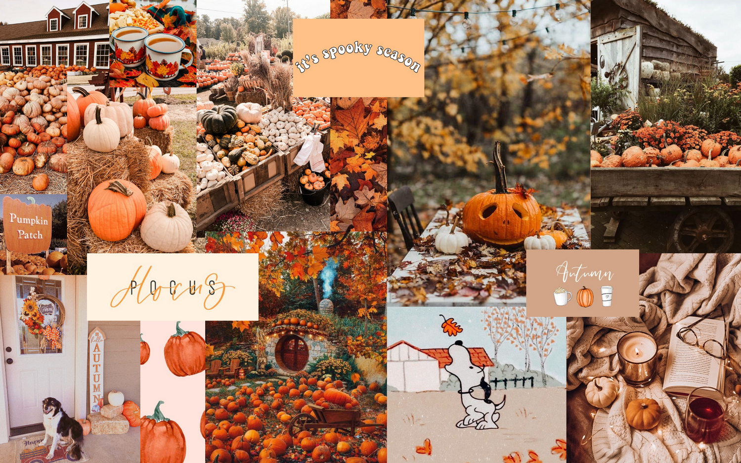 Cute Fall Background Aesthetic