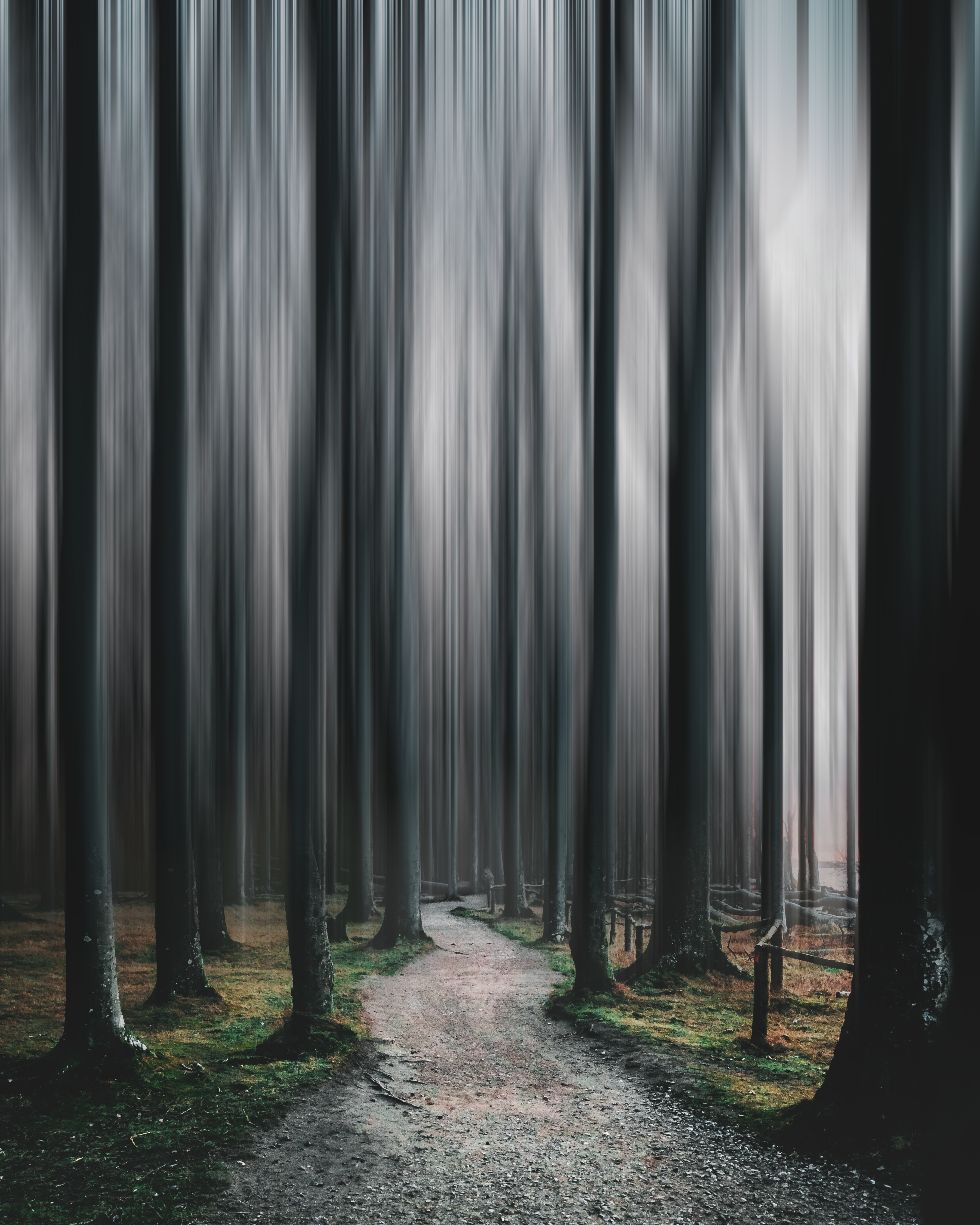 Mobile wallpaper: Illusion, Path, Trees