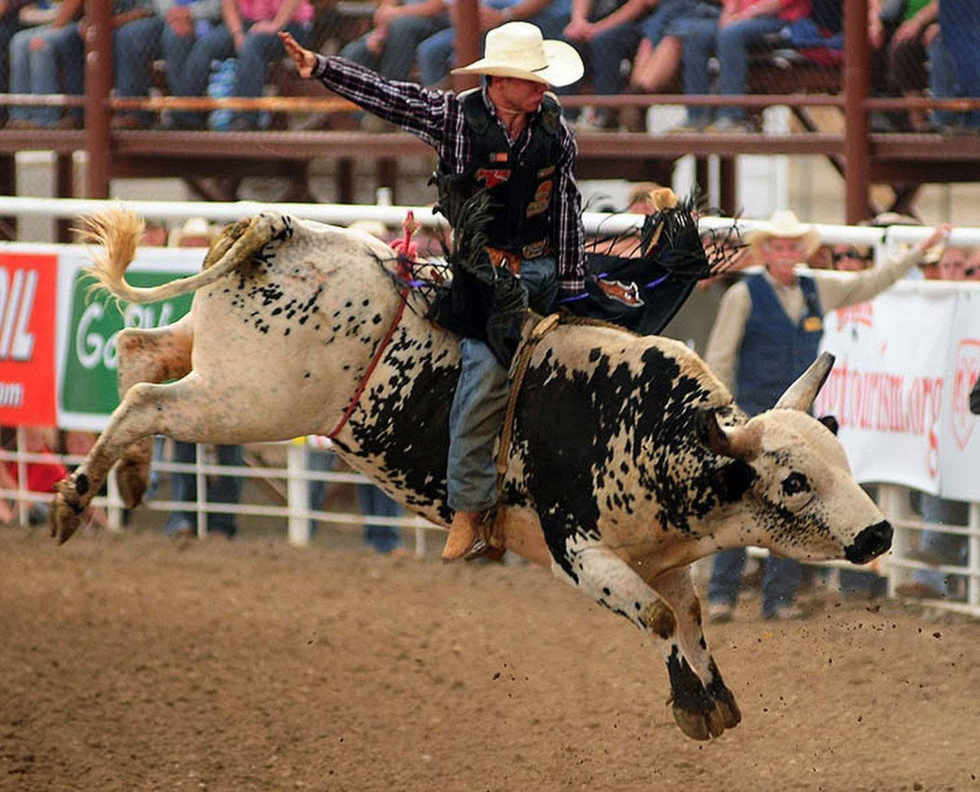 Bull Riding Wallpaper