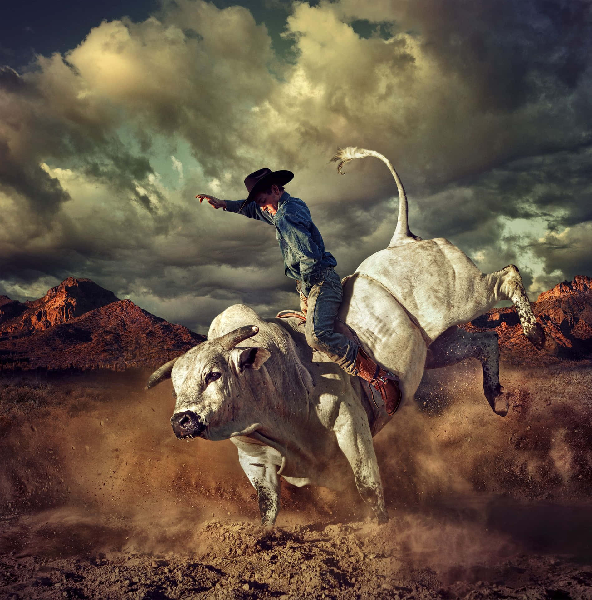 Download A Bull Rider Showing His Skill