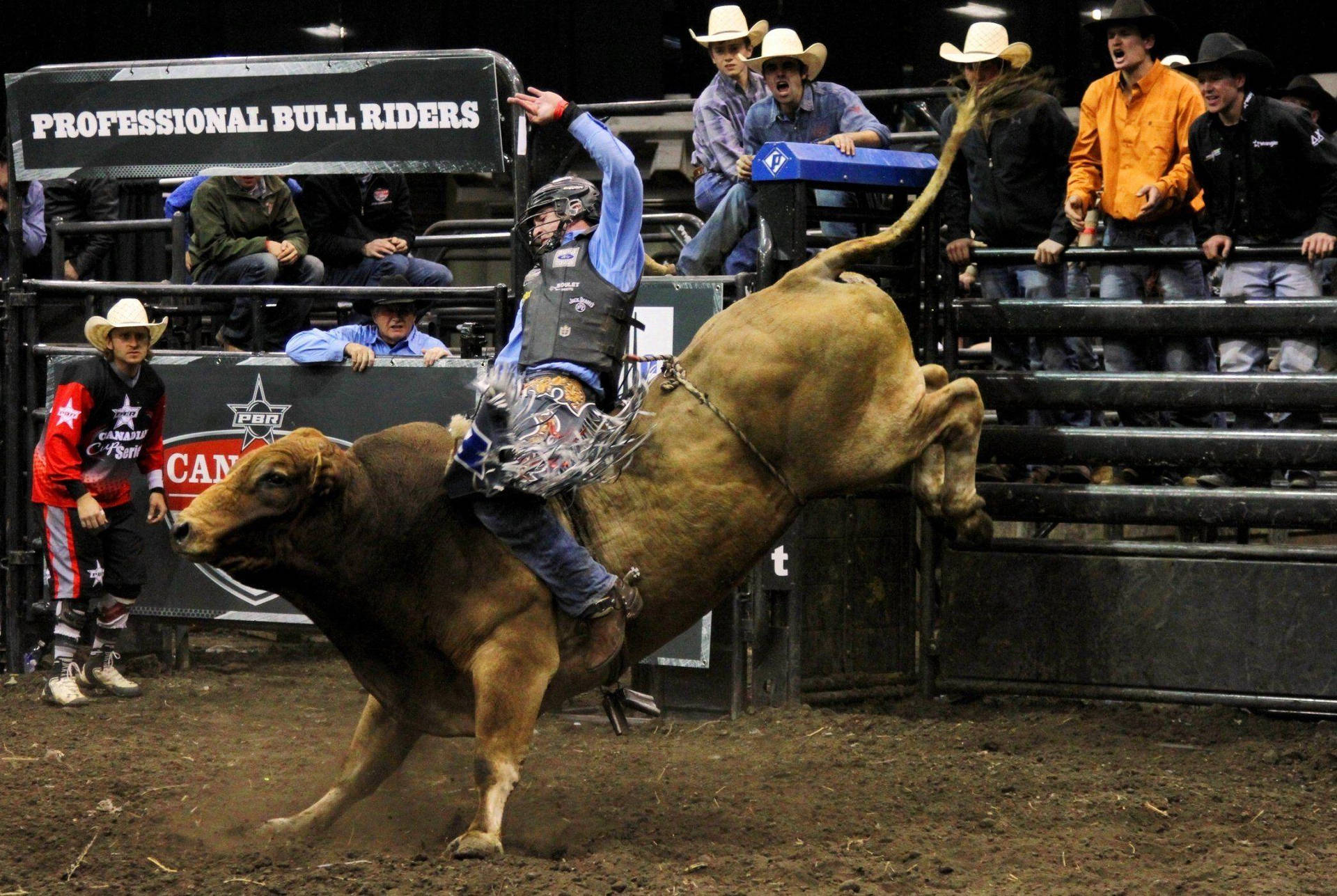 Download Professional Bull Riding Rodeo