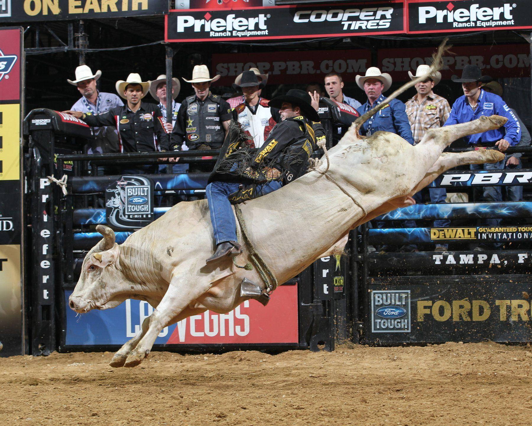 Bull Riding HD Wallpaper