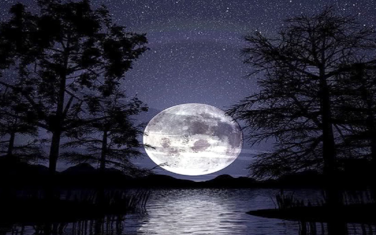 beautiful Moon light live Wallpaper
