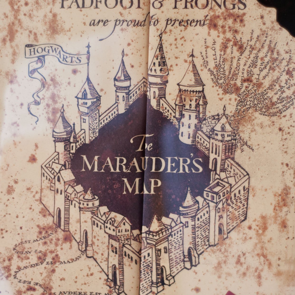 Wizarding World of Harry Potter