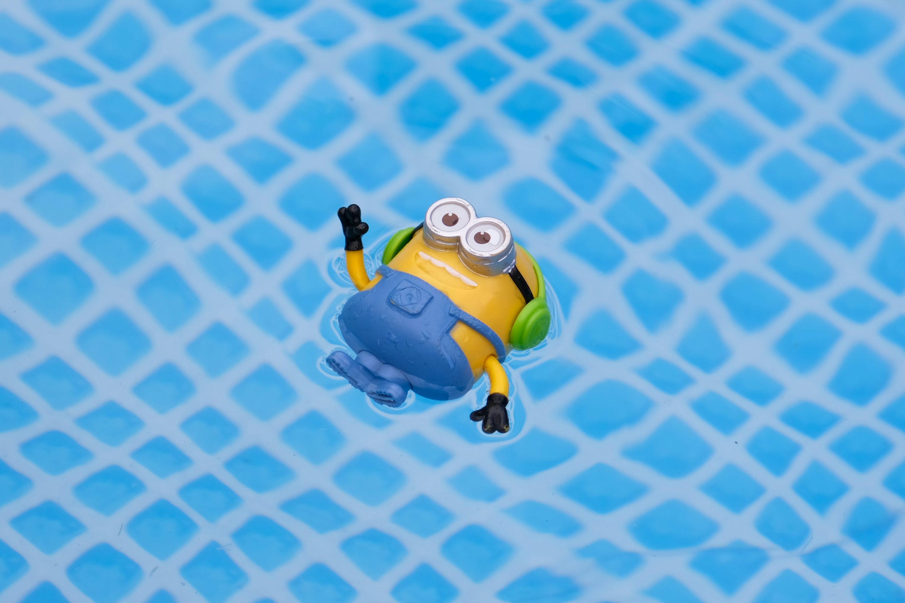 Minion Picture [HD]. Download Free