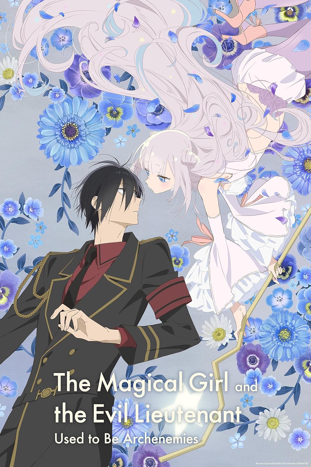 The Magical Girl and the Evil