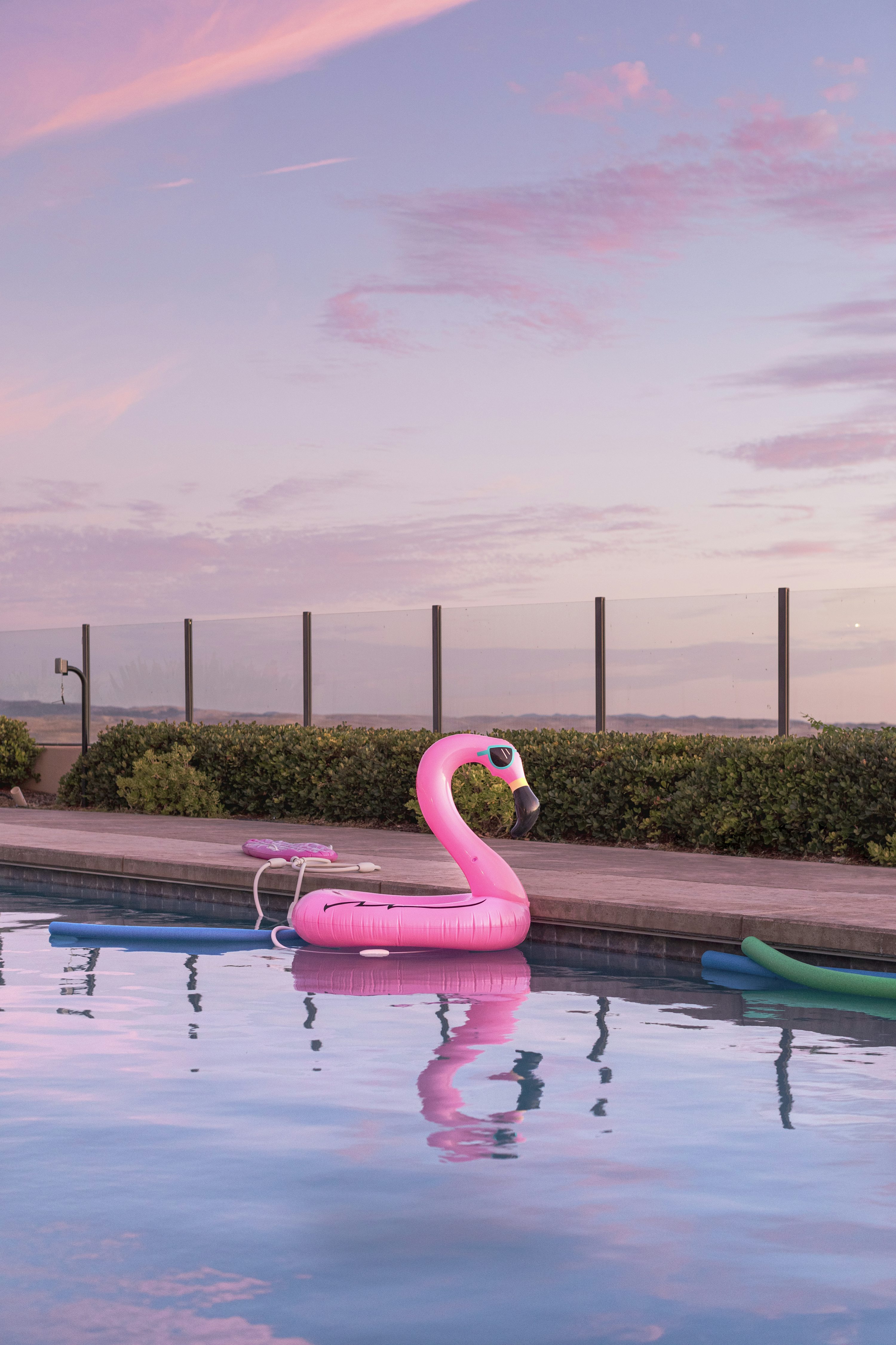 Flamingo water floater in swimming pool