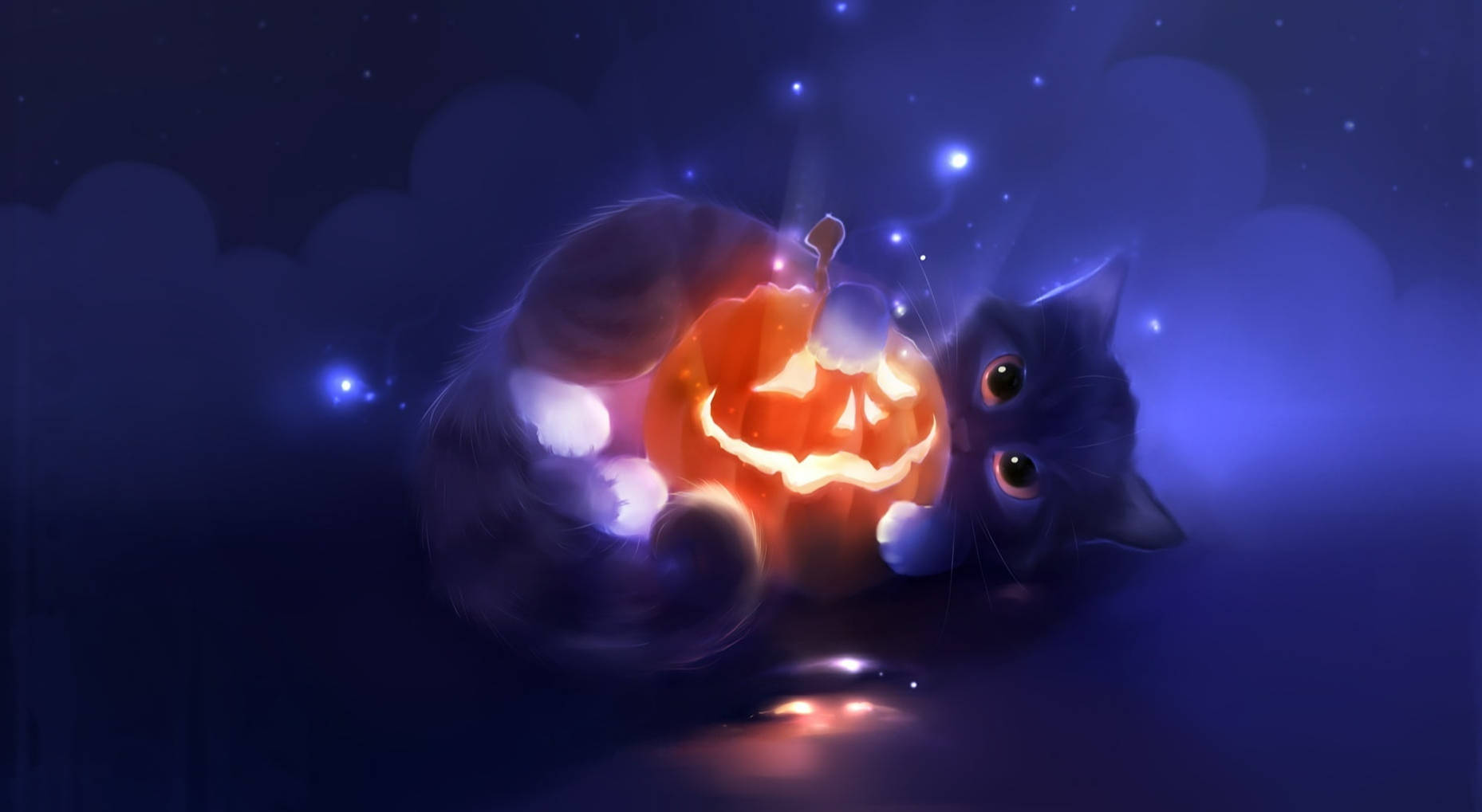 Download Cute Halloween Cat With Jack O