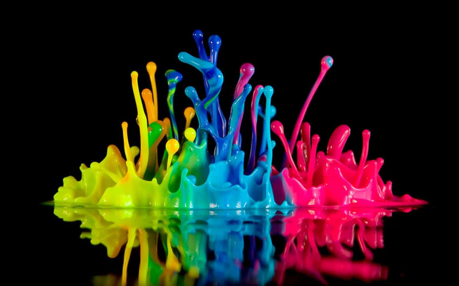 Download Make a Splash with Color