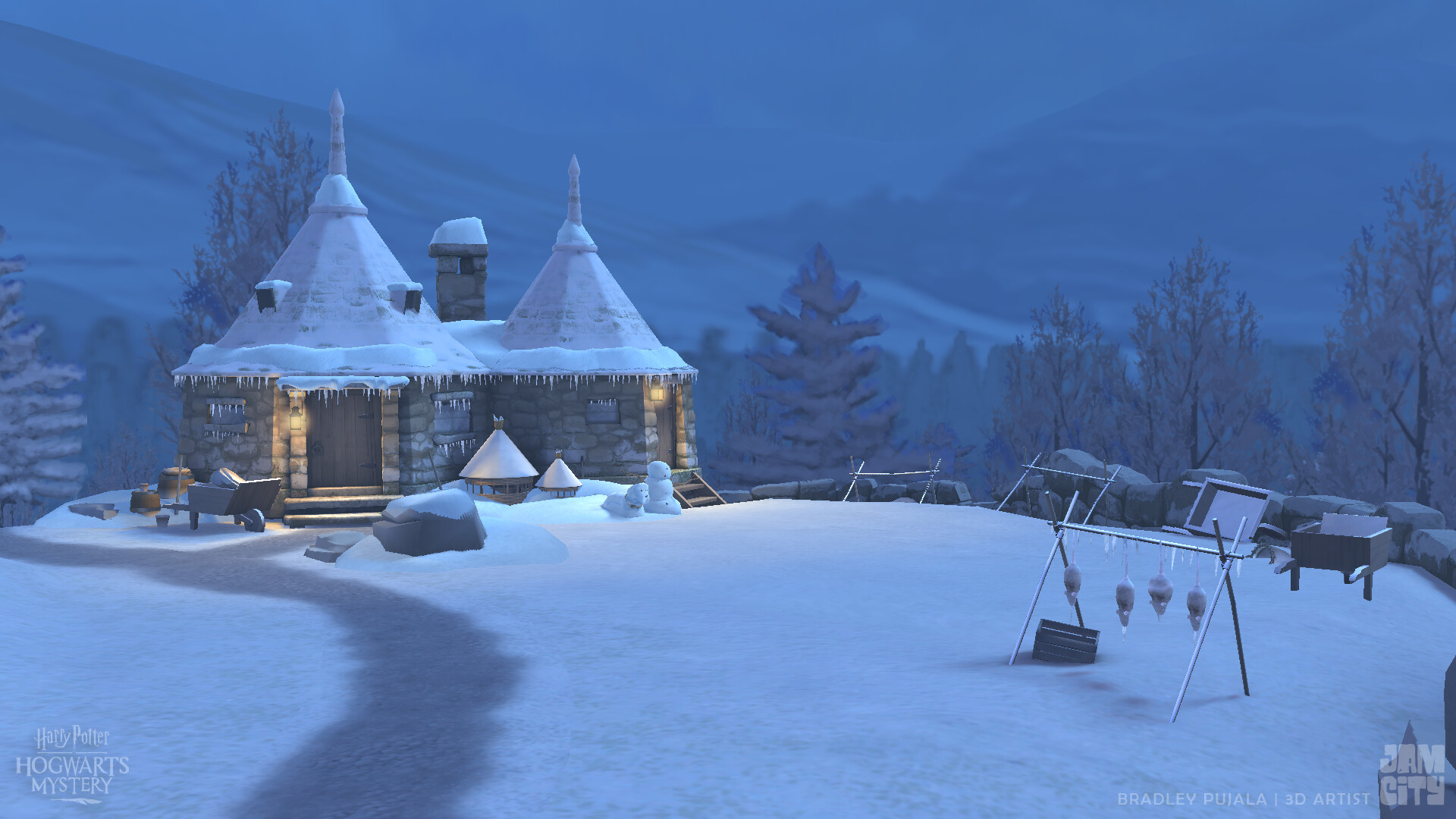 Bradley Pujala Mystery