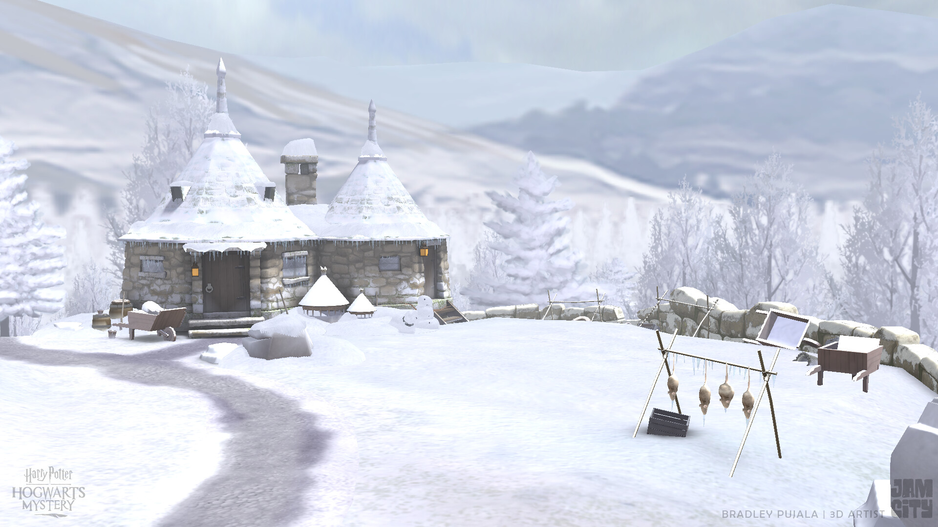 Bradley Pujala Mystery