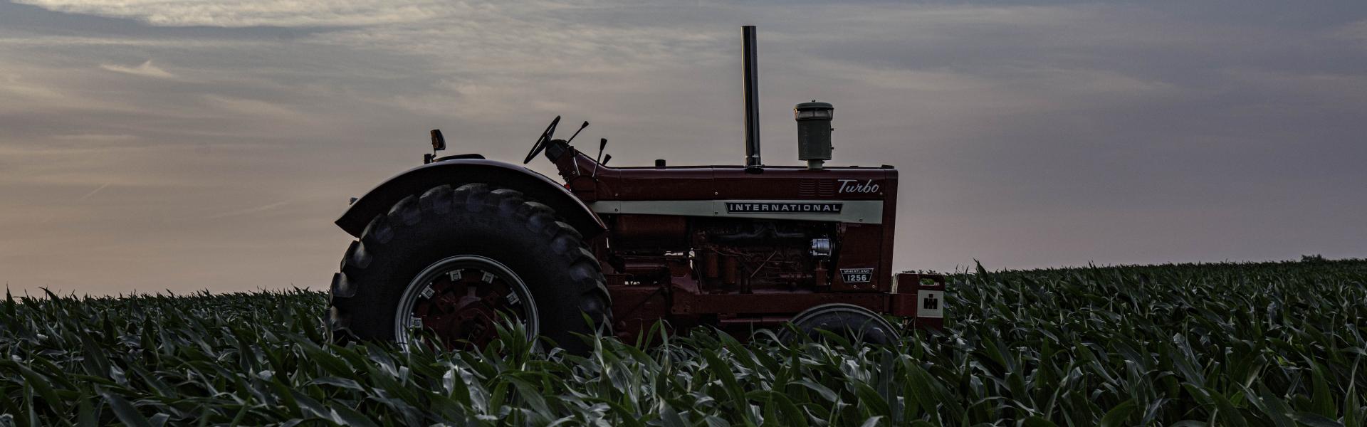 Making Photo In Farmall Land. Octane