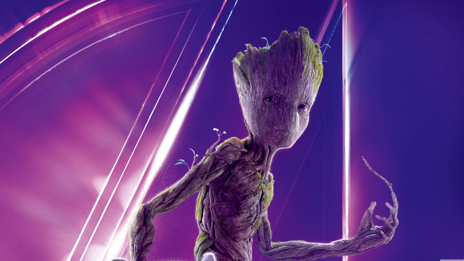 Groot Wallpaper