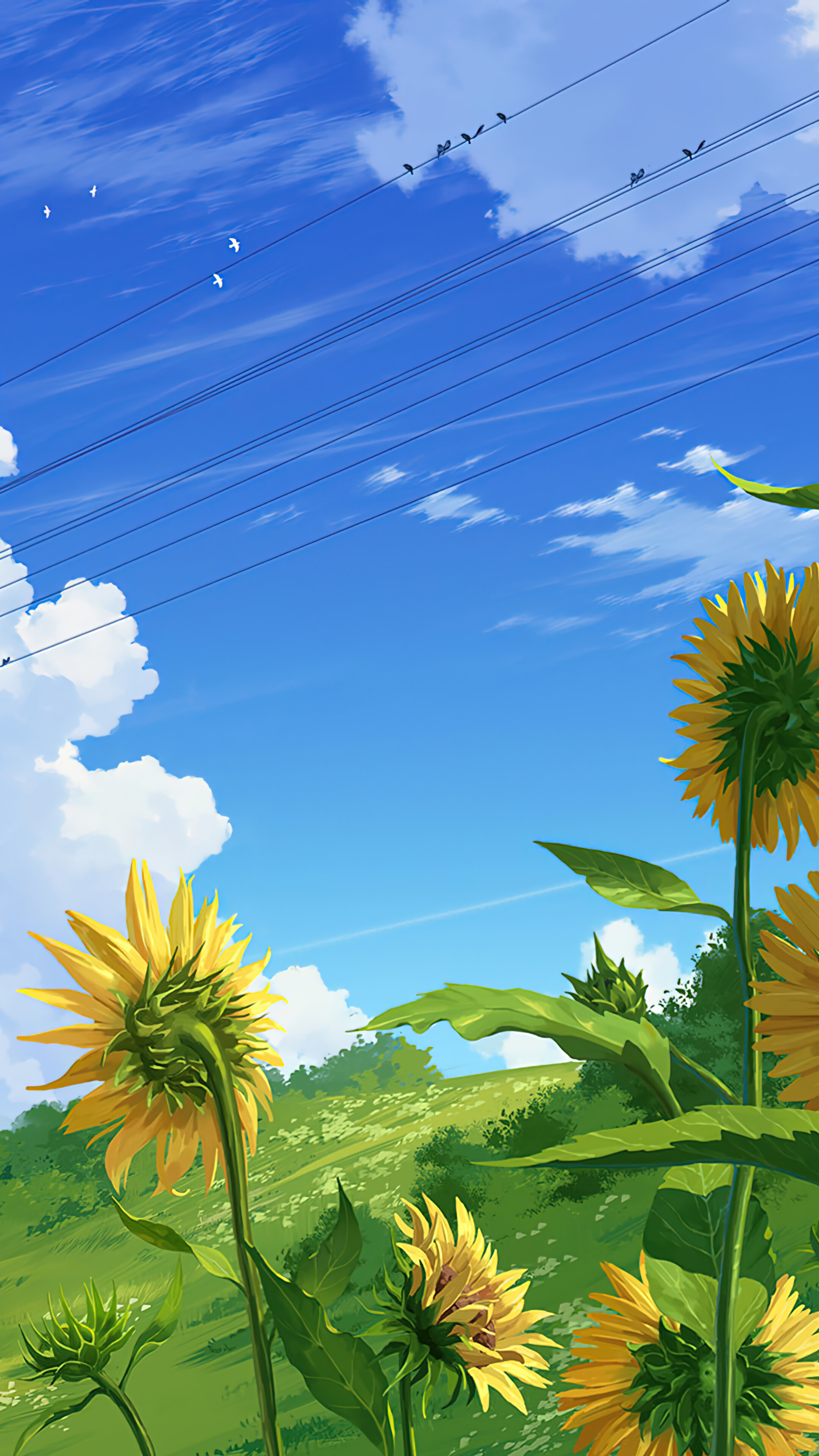 Summer Day Sunflower Anime Scenery 4K Wallpaper iPhone HD Phone f