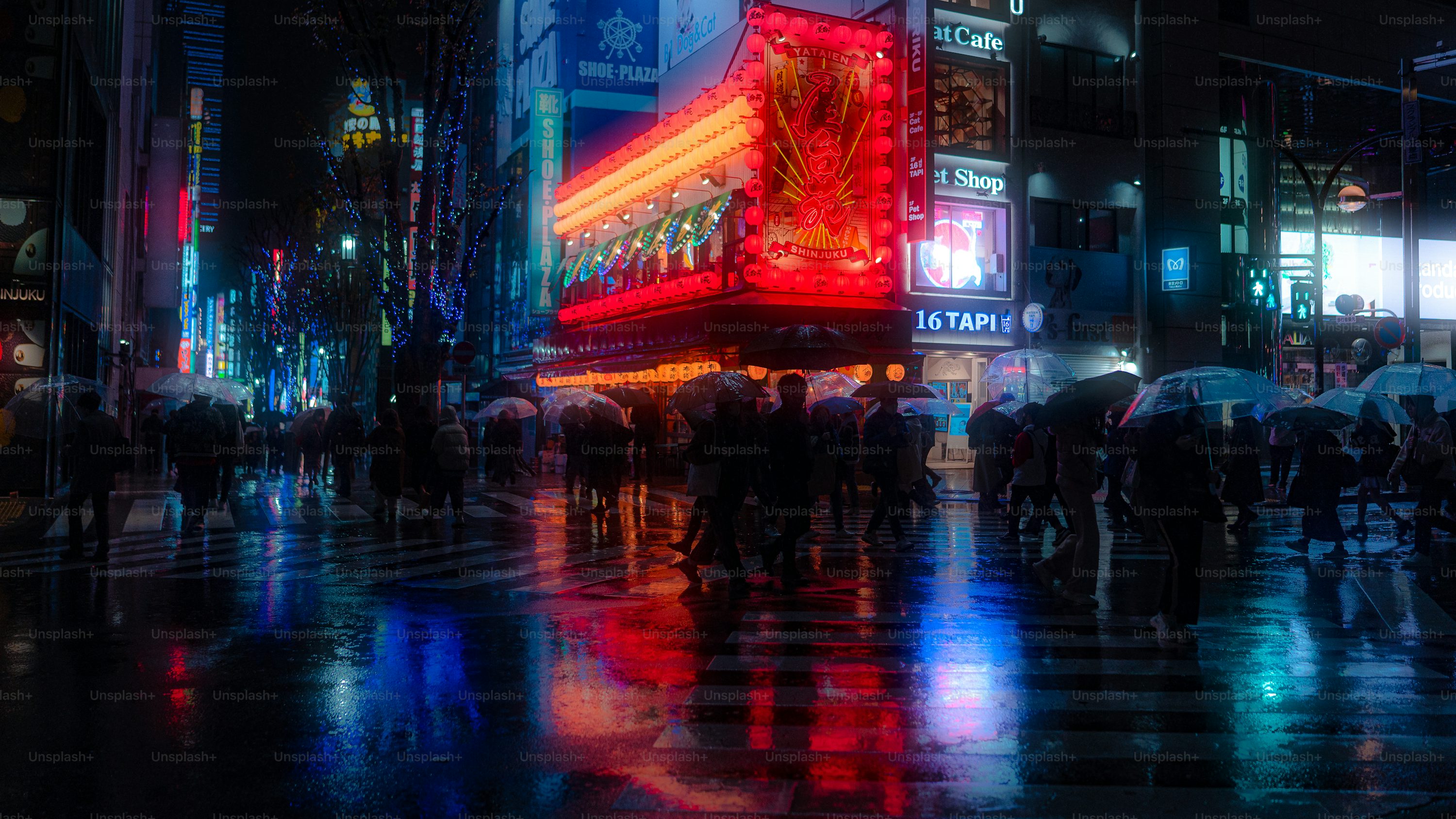 45,Neon Rain Picture. Download