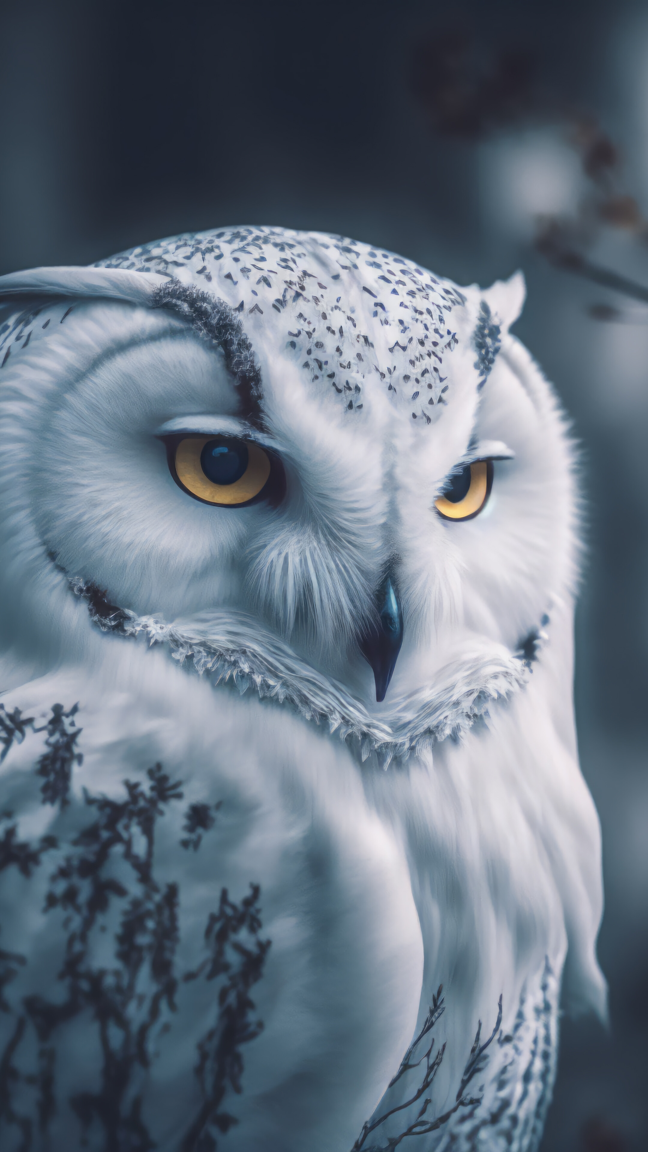 White Owl 4K Wallpaper iPhone HD Phone