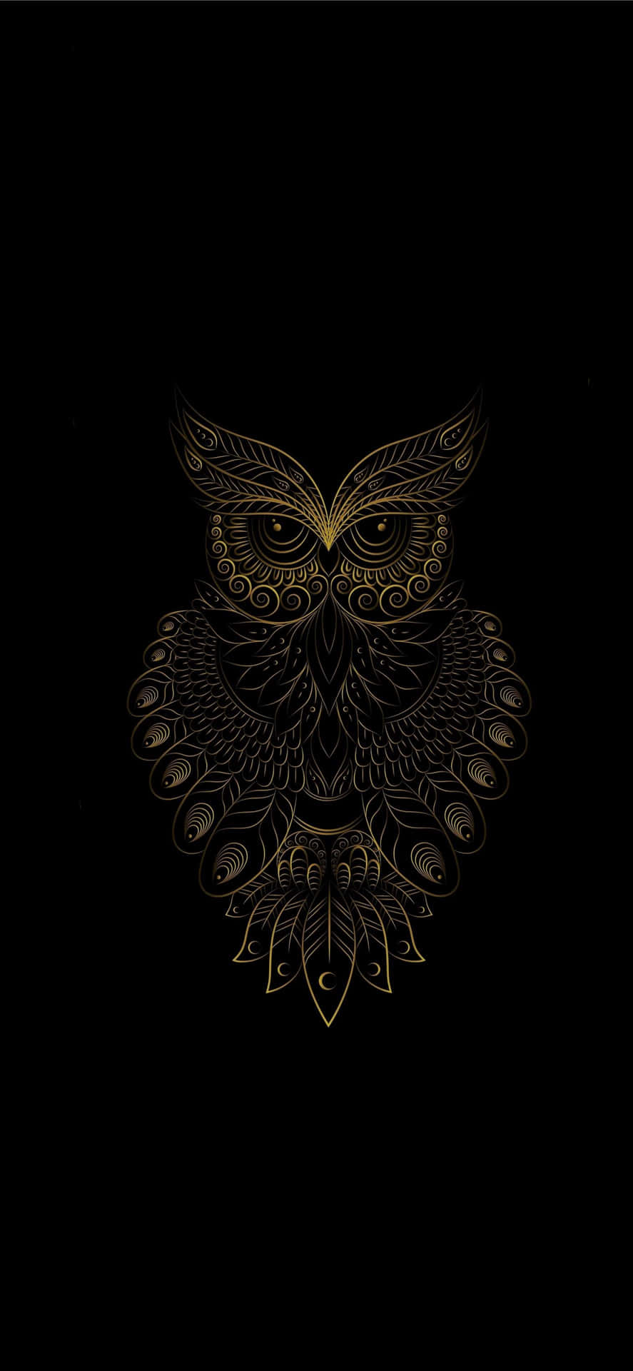 Download Owl Bird iPhone Art On Black