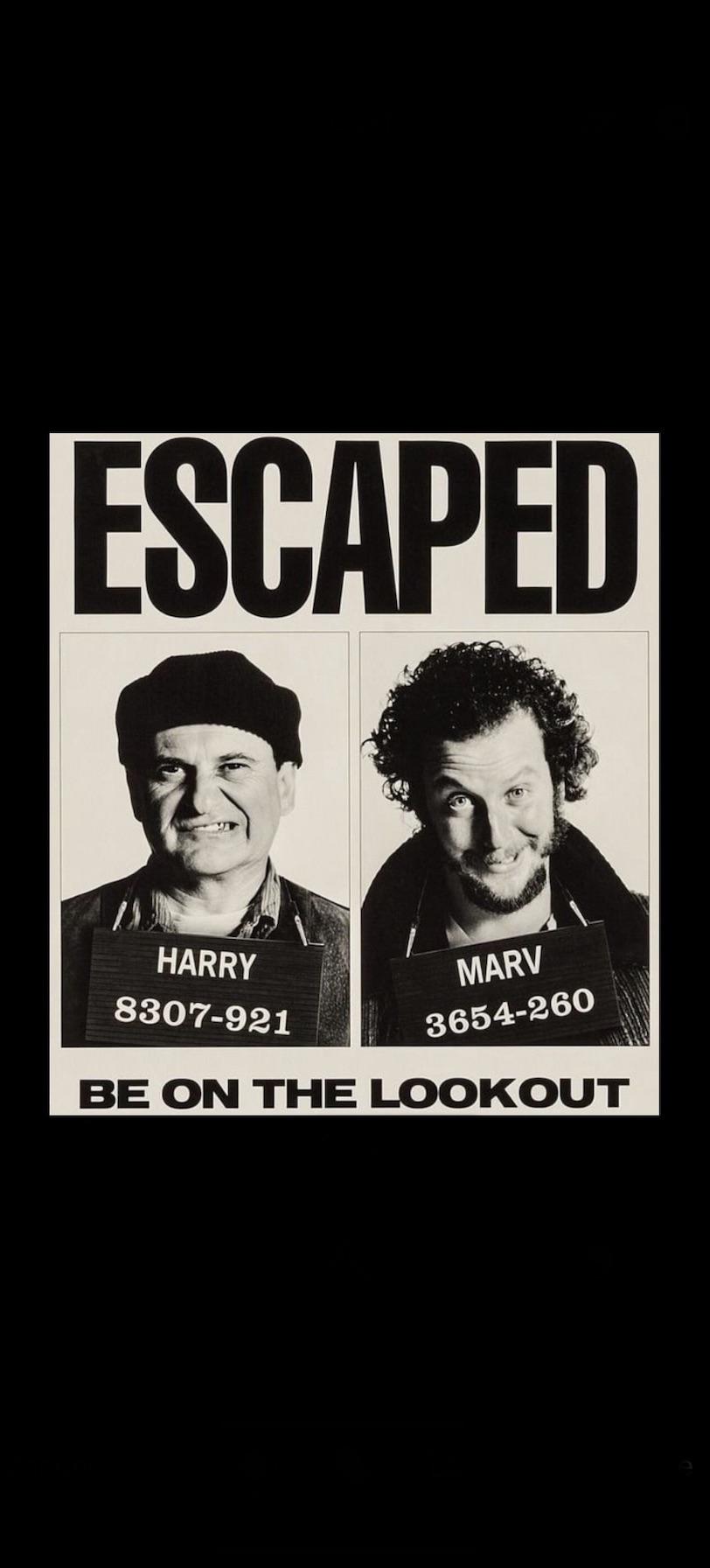 The Wet Bandits are on the Loose